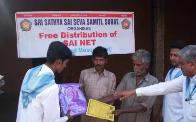 Sainet- Medicated Mosquito Nets