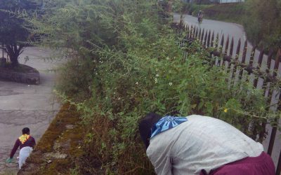 KURSEONG samithi of DARJEELING(SOUTH) district (West Bengal) does Seva