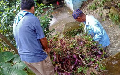TINDHARIA samithi of DARJEELING(SOUTH) district (West Bengal) does Seva