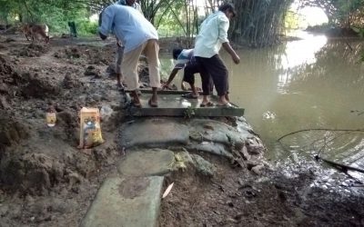 GuruGanj samithi of MIDNAPORE(WEST) district (West Bengal) does Seva