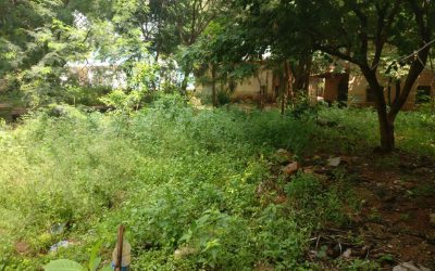 Mehedipatnam samithi of Hyderabad district (Telangana) does Seva
