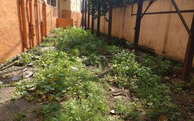 Mehedipatnam samithi of Hyderabad district (Telangana) does Seva
