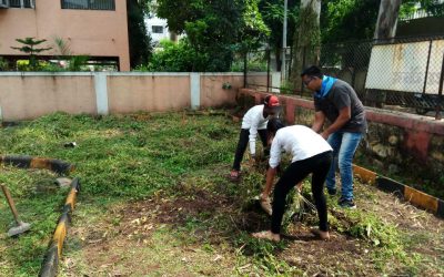 Dwarka samithi of Nasik district (Maharashtra) does Seva
