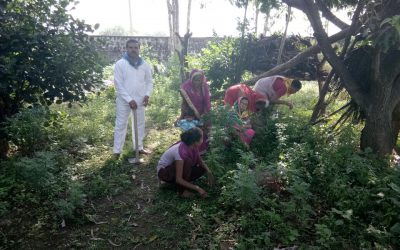 BANGAON samithi of *CHHINDWARA district (Madhya Pradesh) does Seva
