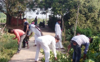 Balikhand samithi of Bhadrak1 district (Odisha) does Seva