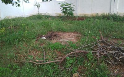 Kothacheruvu samithi of Anantapur district (Andhra Pradesh) does Seva