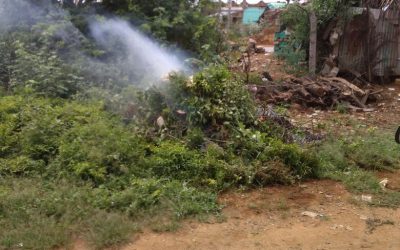 Cheekatimani Palli samithi of Anantapur district (Andhra Pradesh) does Seva