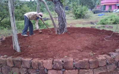 Kanhangad samithi of Kasargod district (Kerala) does Seva