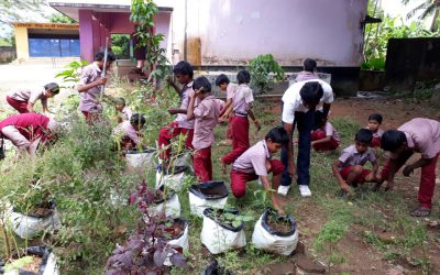 Olavakkode samithi of Palakkad district (Kerala) does Seva