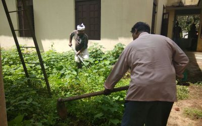 Sasthamcotta samithi of Kollam district (Kerala) does Seva