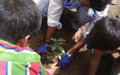 Prasadampadu samithi of Krishna district (Andhra Pradesh) does Seva