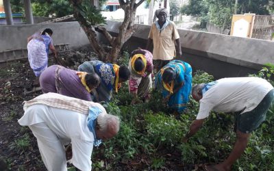 Ghantasala samithi of Krishna district (Andhra Pradesh) does Seva