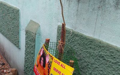 Madipakkam samithi of Kanchi North district (Tamilnadu) does Seva
