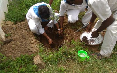 Madurai East samithi of Madurai district (Tamilnadu) does Seva