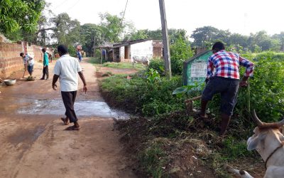 Kingol samithi of Dhenkanal district (Odisha) does Seva