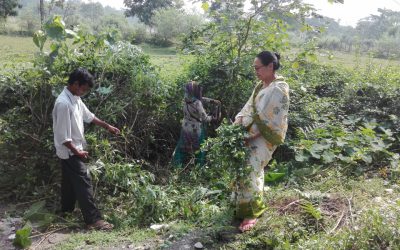 GURUBATHAN samithi of DARJEELING(SOUTH) district (West Bengal) does Seva