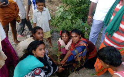 Thillai Nagar samithi of Trichy district (Tamilnadu) does Seva
