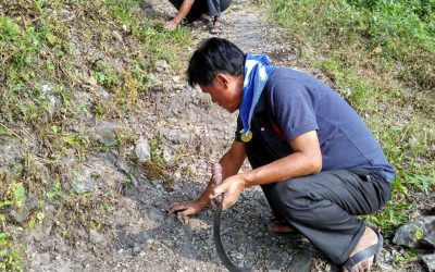 TINDHARIA samithi of DARJEELING(SOUTH) district (West Bengal) does Seva