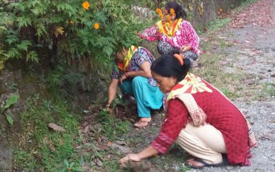 KHAPTAWALI-SOURENI samithi of DARJEELING(SOUTH) district (West Bengal) does Seva