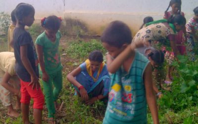 Kolanara samithi of Rayagada district (Odisha) does Seva