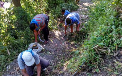 TINDHARIA samithi of DARJEELING(SOUTH) district (West Bengal) does Seva