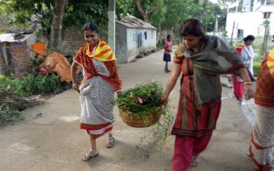 Jajpur Road samithi of Jajpur district (Odisha) does Seva