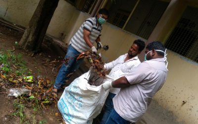 Palladam Road Unit 2 samithi of Tirupur district (Tamilnadu) does Seva