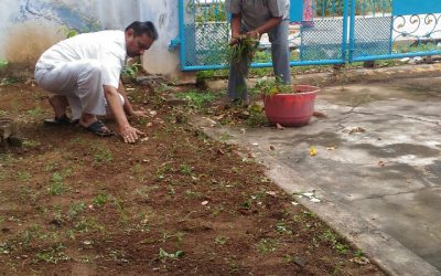 Peddapally samithi of Peddapalli district (Telangana) does Seva