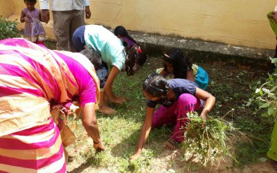 Venkatagiri samithi of Nellore district (Andhra Pradesh) does Seva