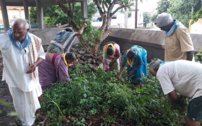 Ghantasala samithi of Krishna district (Andhra Pradesh) does Seva