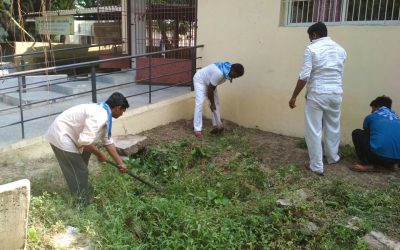 Ajwa samithi of Vadodara district (Gujarat) does Seva