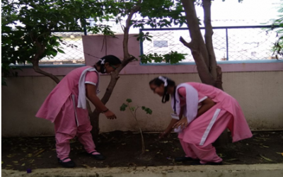 SSS School samithi of Surat district (Gujarat) does Seva