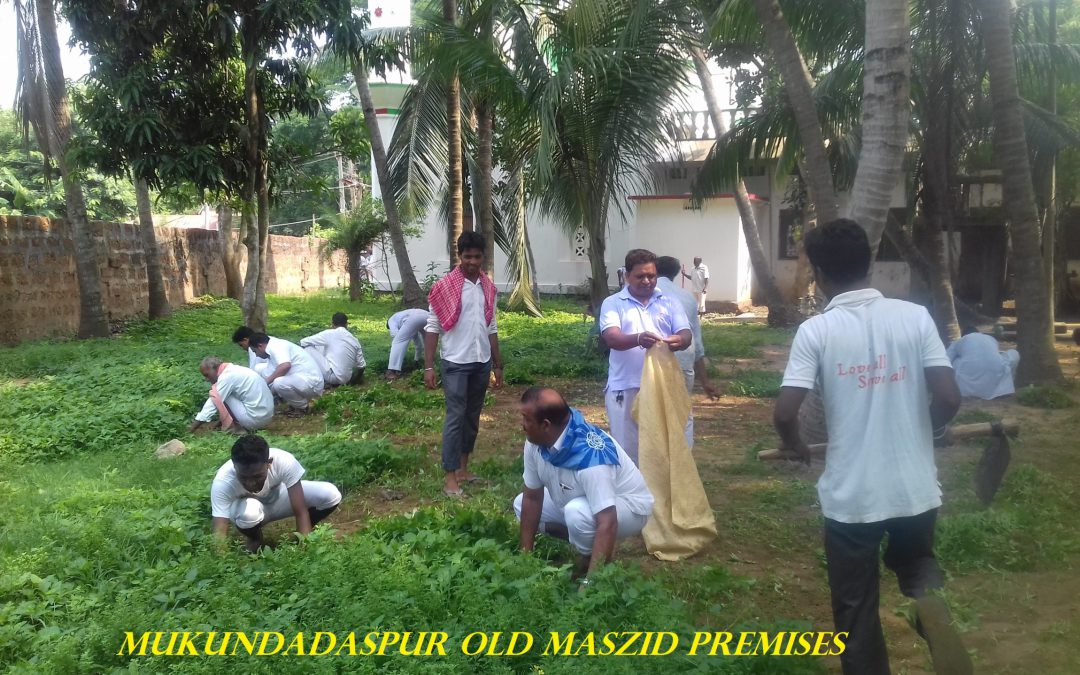 Miracle of Seva