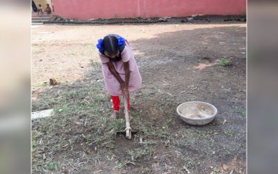 Mulund samithi of Mumbai district (Maharashtra) does Seva