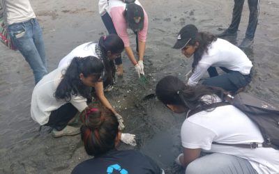 Walkeshwar samithi of Mumbai district (Maharashtra) does Seva