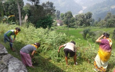 GURUBATHAN samithi of DARJEELING(SOUTH) district (West Bengal) does Seva