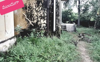 Mandasa samithi of Srikakulam district (Andhra Pradesh) does Seva