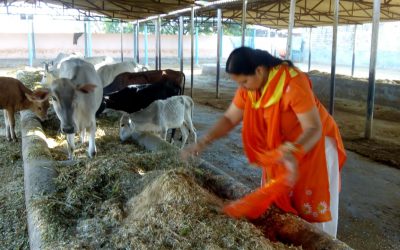 *GWALIOR samithi of *GWALIOR district (Madhya Pradesh) does Seva