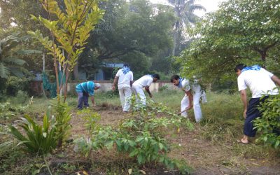 Thermal samithi of Angul district (Odisha) does Seva