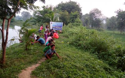Sankulei samithi of Dhenkanal district (Odisha) does Seva