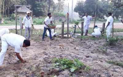 Naguan samithi of Bhadrak1 district (Odisha) does Seva