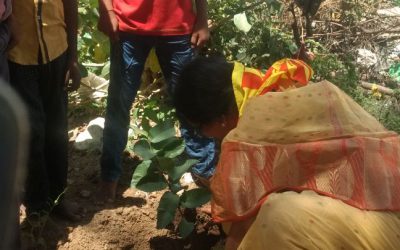 Padmavathi Nagar samithi of Chittoor district (Andhra Pradesh) does Seva
