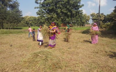 AMILIKI samithi of *REWA district (Madhya Pradesh) does Seva