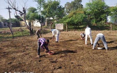 RAISEN (BARELI) samithi of *BHOPAL district (Madhya Pradesh) does Seva