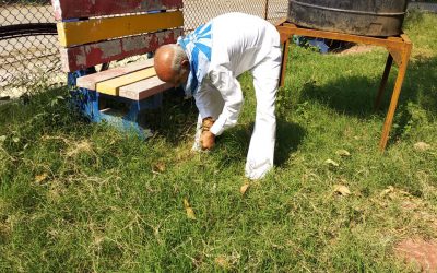 *DEWAS samithi of *INDORE district (Madhya Pradesh) does Seva