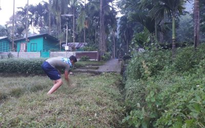 LOHAGARH samithi of DARJEELING(SOUTH) district (West Bengal) does Seva