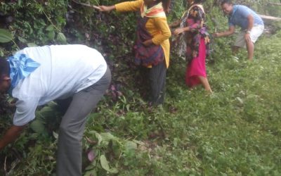 GAIRIBAS samithi of DARJEELING(SOUTH) district (West Bengal) does Seva