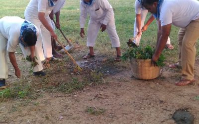 Karanjia samithi of Mayurbhanj district (Odisha) does Seva