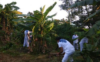 Thermal samithi of Angul district (Odisha) does Seva