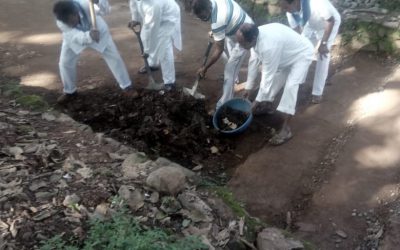 Koraput samithi of Koraput district (Odisha) does Seva